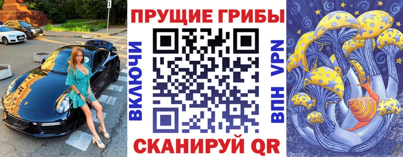 Псилоцибиновые грибы прущие грибы  Кубинка 