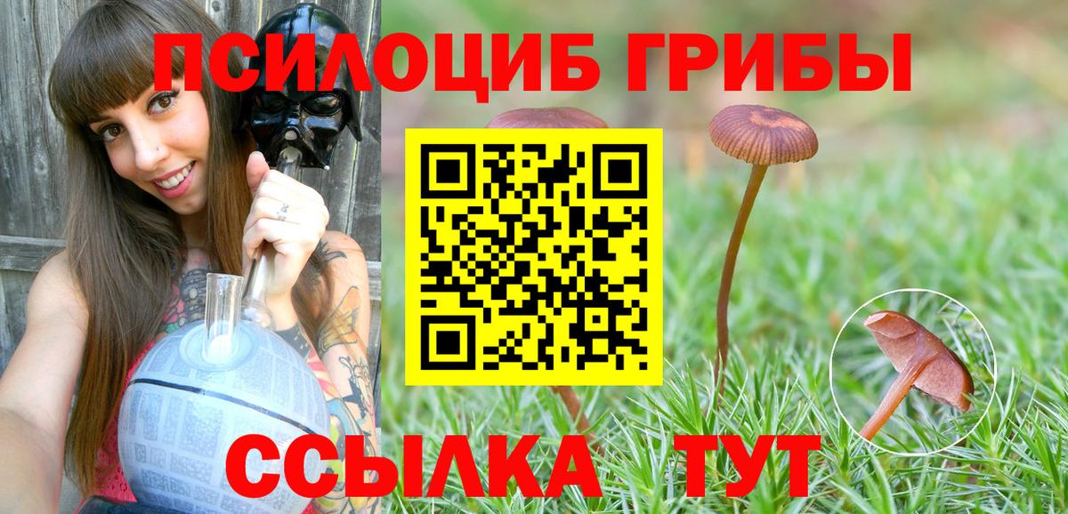 Галлюциногенные грибы мицелий Кубинка